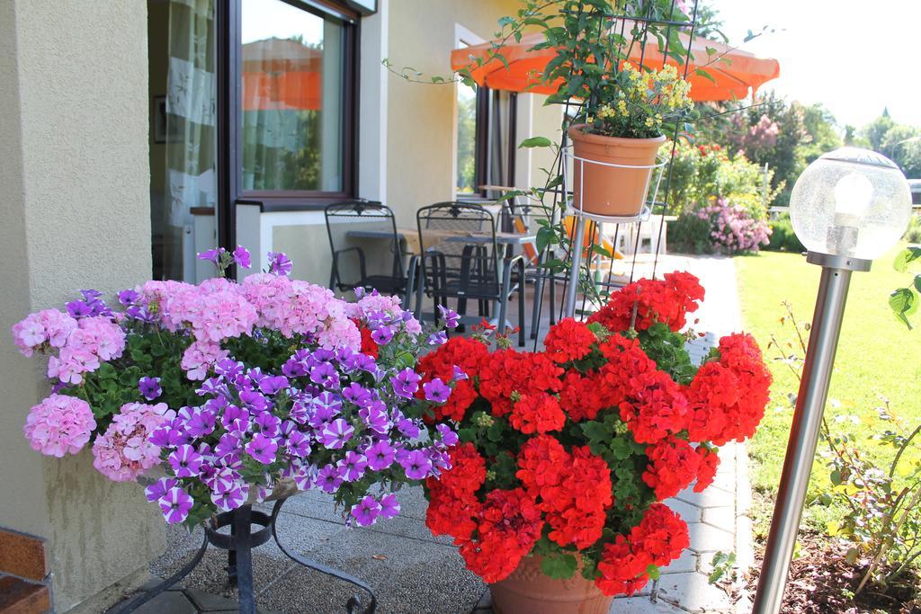 Appartement - Ferienwohnungen - Gaestehaus Gabriele دروبولاخ ام فاكر الغرفة الصورة
