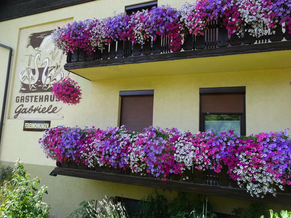 Appartement - Ferienwohnungen - Gaestehaus Gabriele دروبولاخ ام فاكر المظهر الخارجي الصورة