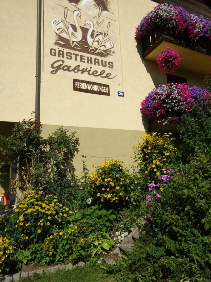 Appartement - Ferienwohnungen - Gaestehaus Gabriele دروبولاخ ام فاكر المظهر الخارجي الصورة