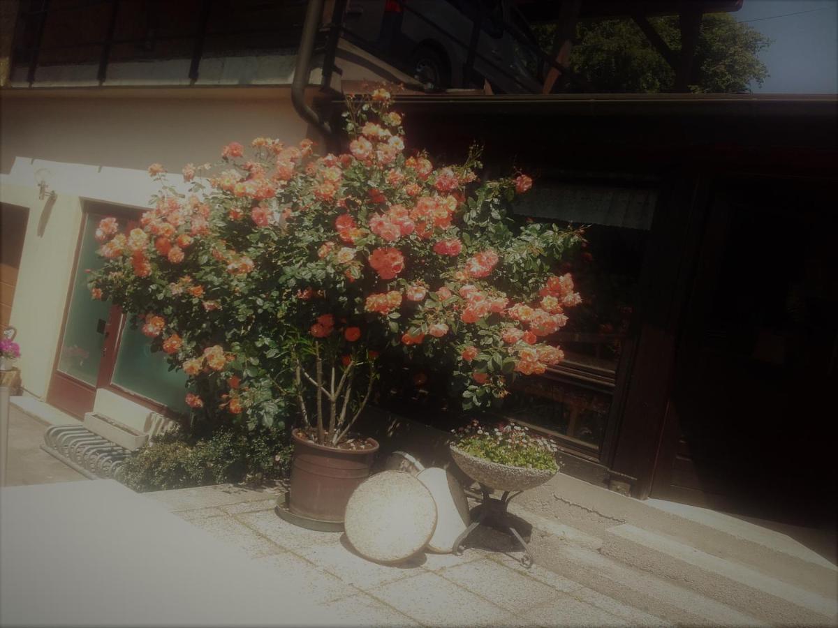 Appartement - Ferienwohnungen - Gaestehaus Gabriele دروبولاخ ام فاكر المظهر الخارجي الصورة